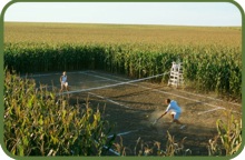Iowa Tennis